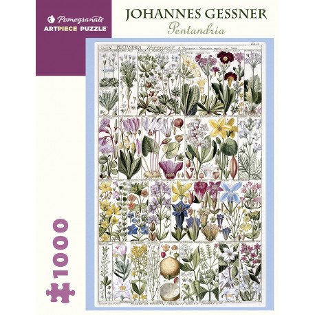 1000P Johannes Gessner - Pentandria