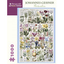 1000P Johannes Gessner - Pentandria