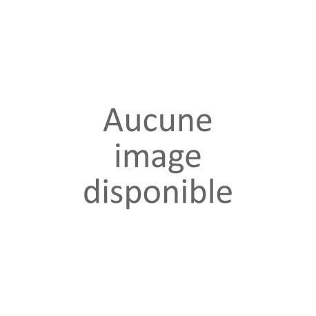 1000P Pierre-Auguste RENOIR - Dance at Bougival